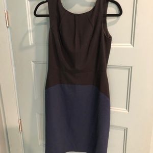 BCBG black and blue shift dress size 6